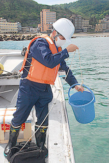 海水浴場の水質を調べる職員たち＝20日午前、鶴岡市の湯野浜沖
