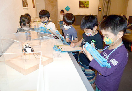 今森さんの立体作品を写生する亀ケ崎小の2年生たち＝3日、酒田市美術館