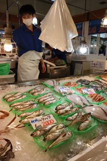 記録的な不漁で高値となっているハタハタ＝8日、鶴岡市の菅原鮮魚・庄内観光物産館店