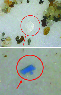 湯野浜海岸の砂浜で見つかった「ポリエチレンテレフタレート」のマイクロプラスチック（上）高密度ポリエチレンのマイクロプラスチック＝鶴岡工業高環境化学科提供