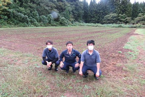 昨年9月、玉川農場に種をまいて発芽した小麦の前で右から齋藤さん、上野さん、五十嵐さん＝庄内農業高提供