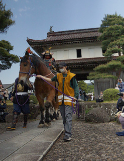 鎧武者たちが堂々の行進を披露した＝松山歴史公園