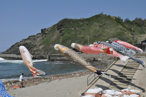 海風を受け元気に泳ぐこいのぼりが今年も飾られた＝１日、鶴岡市の油戸海岸