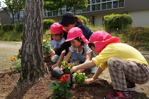町道沿いに花の苗を植える園児ら