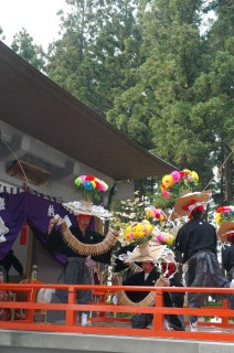 杉木立ちに囲まれた雷電神社八講楽殿で、氏子たちが「花笠舞」を上演