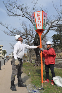 鶴岡公園西側で花見ぼんぼりの設置作業が進められた＝25日
