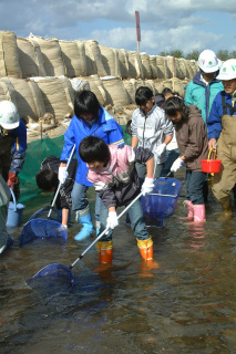 児童も魚の引っ越し作業に参加。ウグイやカジカを見つけ、歓声を上げた
