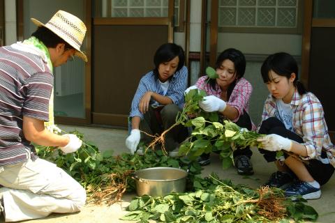 枝豆のさやもぎ作業を体験する田園調布学園中等部の生徒たち