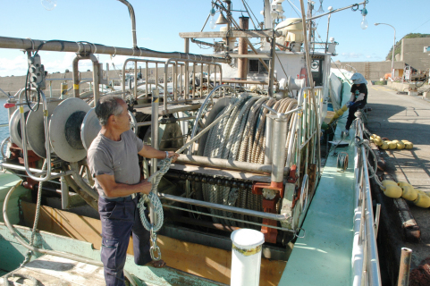 底引き網漁船の漁師が出漁準備に追われていた＝25日、鶴岡市由良漁港