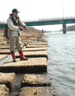 サクラマスを狙う釣り人たち＝12日午前、酒田市浜中の赤川河口
