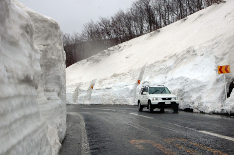 待ちかねた観光客らが3メートルを超える残雪に囲まれドライブ＝大平山荘付近