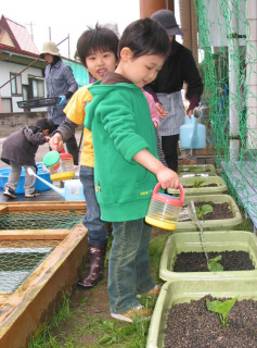 園児たちが移植したゴーヤの苗に水をたっぷりと与えた＝本楯保育園