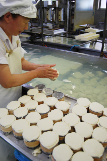 梅雨明けの最盛期を前に、庄内の各豆腐店では夏の味覚・なんぜんじ作りが行われている＝23日、鶴岡市の難波とうふ店