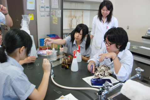実験に取り組む鶴岡南高の生徒たち
