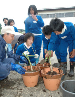 掘り出したミズバショウの株を鉢に移植する児童たち