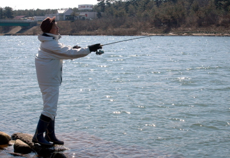 赤川河口でサクラマス釣りが本格化する時期を迎えたが、太公望の姿はポツポツ＝5日午前