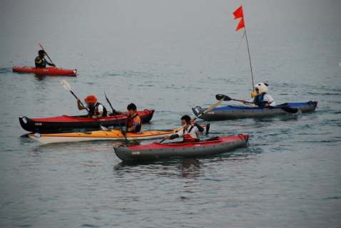 カヤックで吹浦漁港内を2周する「海のステージ」で懸命にパドルを操る参加者たち＝11日午前5時45分