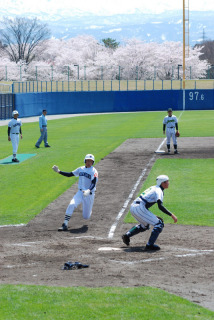 満開の桜が見える球場で、球児たちがはつらつプレー＝鶴岡ドリームスタジアム