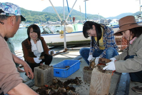 佐藤さん（左）の指導で、なたでイワガキの殻をきれいにする参加者たち