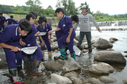 藤島川で水生生物を調査する羽黒二小の児童