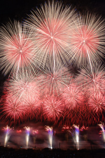 壮大なスケールで打ち上げられた花火が鶴岡の夜空を色鮮やかに彩った