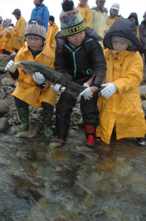 サケの捕獲に挑戦する温海小の児童たち＝鶴岡市大岩川地区の小国川