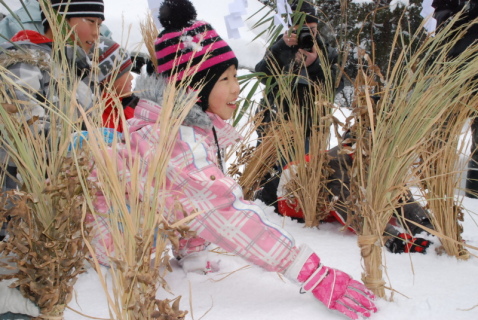 雪原に稲わらなどを差して豊作を願う雪中田植えを行った