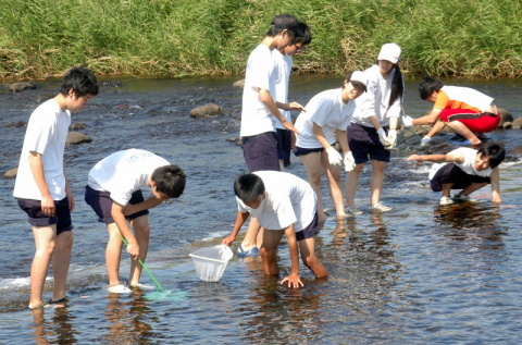 淡水魚の捕獲に挑戦する遊佐高の生徒たち＝遊佐町の月光川