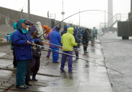 ハタハタ目当てに水路を埋める釣り人たち＝11日午後、酒田北港