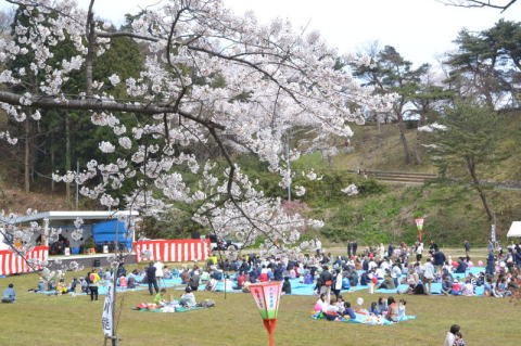 黒川能が上演され、大勢の花見客が満開の桜とともに鑑賞した