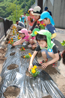 花壇に花の苗を植える保育園児たち
