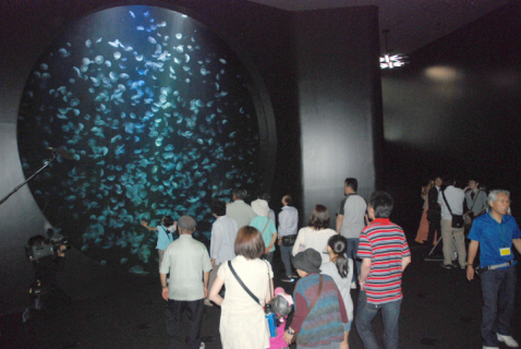 一番人気はクラゲ展示室「クラネタリウム」。数千匹のクラゲが漂う大水槽前に人だかりができた
