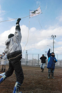 東郷小で伝統の凧揚げ大会が行われた