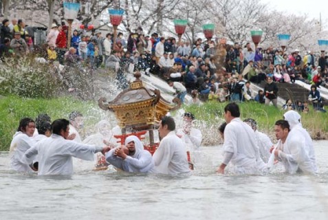 若者たちが川の中で威勢良く神輿に水を掛け、豊漁を願った＝鶴岡市鼠ケ関