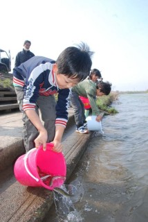 斎小の4年生がサクラマスの幼魚を赤川に放流した