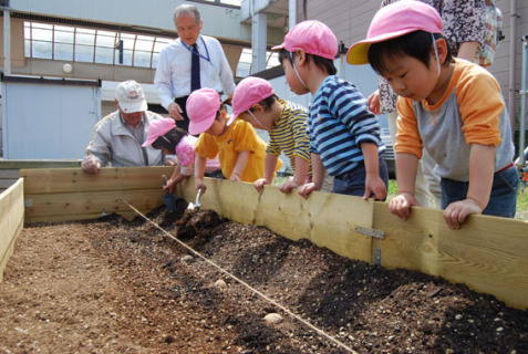 商店街に設けられた菜園で託児所の子どもたちがジャガイモの種イモを植えた