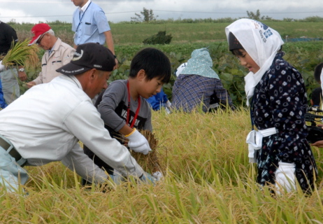 稲の収穫を楽しむ八幡、広野両小の児童たち
