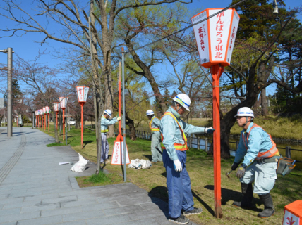桜の名所・鶴岡公園で花見ぼんぼりの取り付け作業が進められている