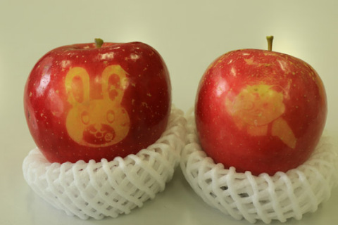 生徒たちが栽培した「絵入りリンゴ」