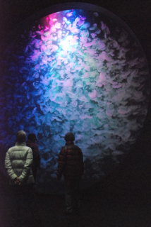 約1万匹のミズクラゲが七色に照らされ、幻想的な光景を生み出している