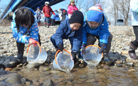 渡前小の児童たちが赤川にサケの稚魚を放流した