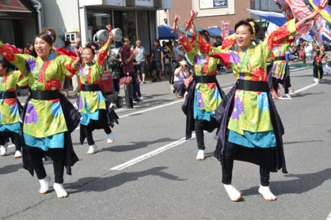県内外から出場した各団体が鶴岡の夏を躍動感あふれる踊りで彩った「おぃやさ祭り」