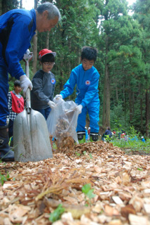 校舎裏の避難道に木質チップをまいて歩きやすく整備する児童たち