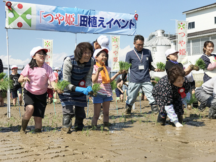 吉村知事や余目三小児童、生産者らが「つや姫」デビュー10周年記念の田植えを一緒に楽しんだ