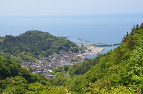 港を抱え、北前船で栄えた当時の町割りがそのまま残る加茂の遠景