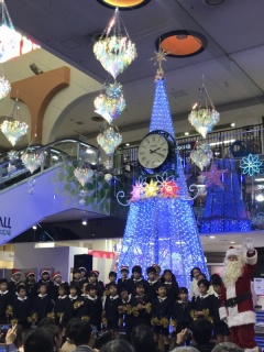 マリア幼稚園の園児たちがクリスマスソングの合唱や合奏を披露し、「ヒカリのツリー」が点灯