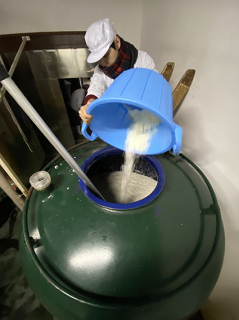 米麹と水の入ったかめに掛米を入れる蔵人