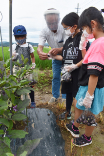 民田なすを栽培する長谷川さんから収穫方法を教えてもらう子どもたち＝25日、鶴岡市栃屋