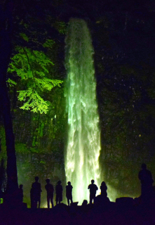 水銀灯が周囲の木々をも照らす玉簾の滝のライトアップ＝10日午後８時ごろ