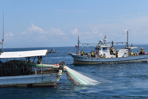 鶴岡市の由良漁港から約5キロの沖合で地元漁師によるごち網漁を見学＝5日、午前10時ごろ